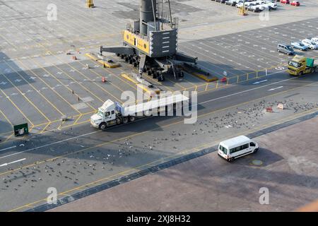 Callao, Peru - 20. März 2019: Geschäftige Hafenaktivität mit Vögeln in Fahrzeugen. Stockfoto