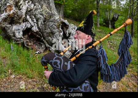 Ein traditioneller Gaiteiro aus Galicien, gekleidet in klassischer Kleidung mit Weste, weißem Hemd, knielanger Hose und breiter Krempe, spielt den Gaita, den legendären Dudelsack der Region. Dieser Musiker verkörpert das reiche kulturelle Erbe und die musikalischen Traditionen Galiciens und bringt lebendige Melodien in die festliche Atmosphäre lokaler Feiern Stockfoto