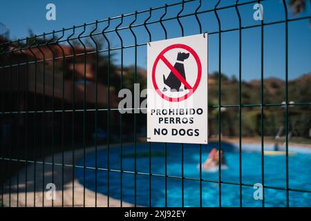 Ein No Dogs-Schild auf Spanisch und Englisch an einem Zaun um einen Pool herum, um eine haustierfreie Zone für Schwimmer zu gewährleisten. Sonniges Ambiente im Freien Stockfoto