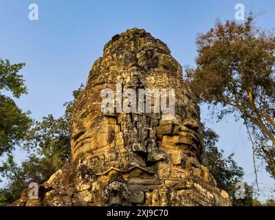 TA Prohm Tempel, ein Mahayana buddhistisches Kloster, das Ende des 12. Jahrhunderts für Khmer-König Jayavarman VII. Erbaut wurde, Angkor, UNESCO-Weltkulturerbe, Cambo Stockfoto