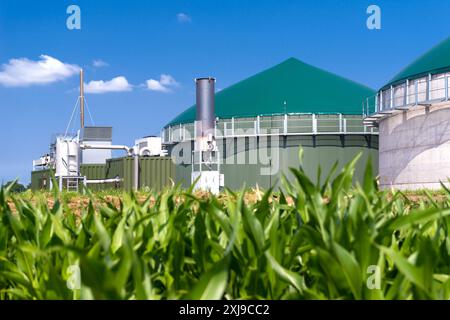 Biogasanlage auf einem Maisfeld - 3137 Stockfoto