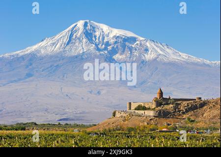 Weinberge vor dem Kloster Khor Virap, Ebene Ararat, Ararat im Hintergrund, Artashat, Armenien, Eurasien Copyright: GOUPIxCHRISTIAN 1382-5 Stockfoto