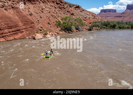 Touristen genießen eine geführte Rafting-Tour auf dem Colorado River im Hochwasser. Moab, Utah. Stockfoto