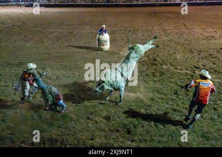 Ein professioneller Rodeo-Cowboy wird bei einem Rodeo in einer kleinen Stadt im ländlichen Utah von einem Bullen-the-Bullen-Ritt gefickt. Rodeo-Clowns oder Stierkämpfer bewegen sich Stockfoto