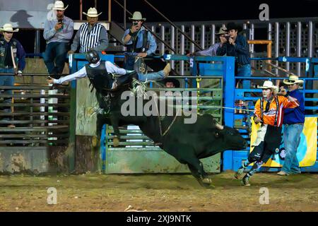 Ein professioneller Rodeo-Cowboy wird bei einem Rodeo in einer kleinen Stadt im ländlichen Utah von einem Bullen-the-Bullen-Ritt gefickt. Der Rodeo-Clown / Stierkämpfer Mov Stockfoto