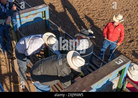 Ein Bareback-Cowboy klettert auf ein bockendes Pferd in der Rutsche, bevor er bei einem Rodeo im ländlichen Utah reitet. Stockfoto