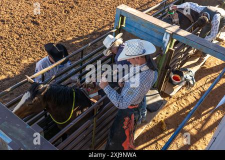 Ein Bareback Bronc Cowboy legt seine Bareback-Takelage auf ein Pferd in die Rutsche, bevor er bei einem Rodeo im ländlichen Utah reitet. Stockfoto