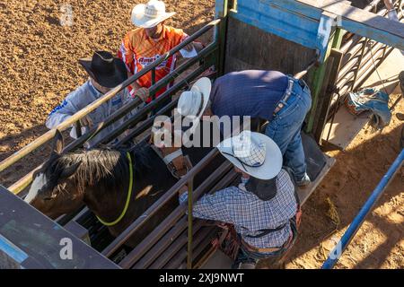 Ein Bareback Bronc Cowboy legt seine Bareback-Takelage auf ein Pferd in die Rutsche, bevor er bei einem Rodeo im ländlichen Utah reitet. Stockfoto