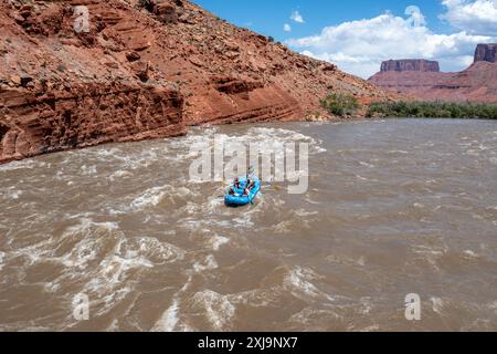 Touristen genießen eine geführte Rafting-Tour durch die großen Wellen in White's Rapid auf dem Colorado River am Hochwasser. Moab, Utah. Stockfoto