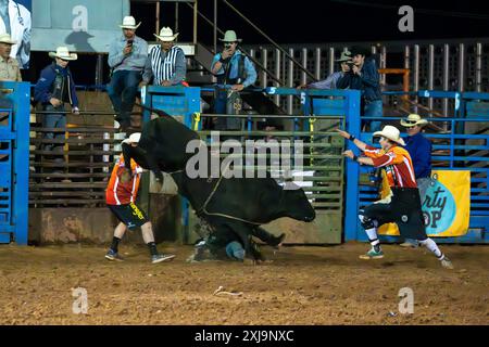 Ein professioneller Rodeo-Cowboy wird bei einem Rodeo in einer kleinen Stadt im ländlichen Utah von einem Bullen-the-Bullen-Ritt gefickt. Der Rodeo-Clown / Stierkämpfer Mov Stockfoto