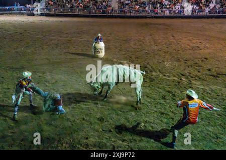 Ein professioneller Rodeo-Cowboy wird bei einem Rodeo in einer kleinen Stadt im ländlichen Utah von einem Bullen-the-Bullen-Ritt gefickt. Rodeo-Clowns oder Stierkämpfer bewegen sich Stockfoto