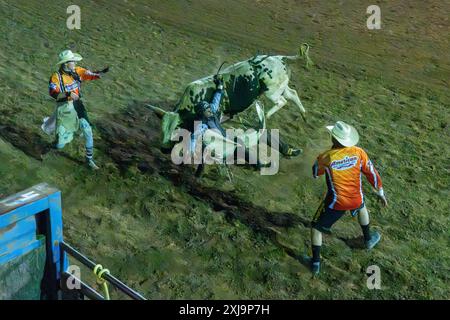 Ein professioneller Rodeo-Cowboy wird bei einem Rodeo in einer kleinen Stadt im ländlichen Utah von einem Bullen-the-Bullen-Ritt gefickt. Rodeo-Clowns oder Stierkämpfer bewegen sich Stockfoto