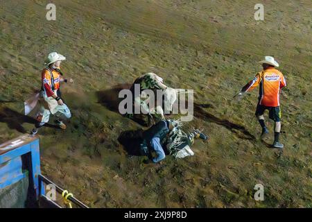 Ein professioneller Rodeo-Cowboy wird bei einem Rodeo in einer kleinen Stadt im ländlichen Utah von einem Bullen-the-Bullen-Ritt gefickt. Rodeo-Clowns oder Stierkämpfer bewegen sich Stockfoto
