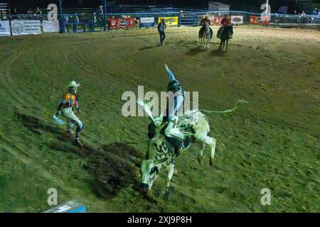 Ein professioneller Rodeo-Cowboy reitet in einem Rodeo in einer kleinen Stadt im ländlichen Utah auf einem Stier. Stockfoto