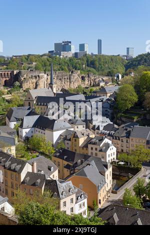 Europa, Luxemburg, Luxemburg-Stadt, Blick über die Altstadt und die Alzette-Schlucht in Richtung Plateau de Kirchberg Stockfoto