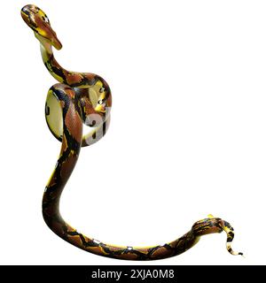 3D Darstellung einer retikulierten Python oder Python reticulatus, einer in Südostasien gefundenen Pythonart Stockfoto