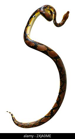 3D Darstellung einer retikulierten Python oder Python reticulatus, einer in Südostasien gefundenen Pythonart Stockfoto