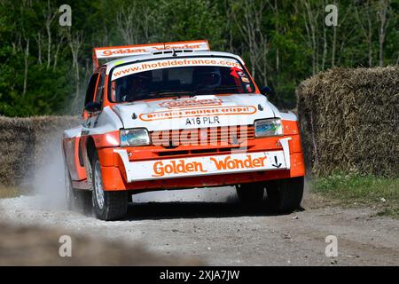 Martin Overington, MG Metro 6R4, Legends of Group B, eine Auswahl an legendären Autos, die die ungeheuerlichen Extreme der Fahrzeugentwicklung für World demonstrieren Stockfoto