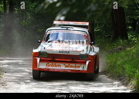 Martin Overington, MG Metro 6R4, Legends of Group B, eine Auswahl an legendären Autos, die die ungeheuerlichen Extreme der Fahrzeugentwicklung für World demonstrieren Stockfoto