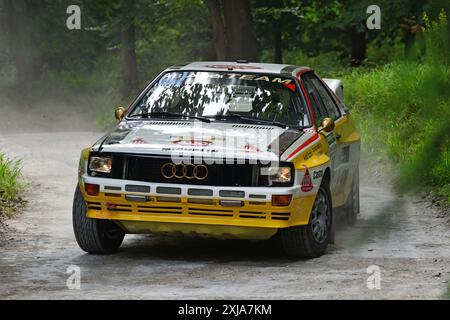 Sjoerd van der Putten, Audi Sport Quattro A2, Legends of Group B, eine Auswahl an legendären Fahrzeugen, die die ungeheuerlichen Extreme der Fahrzeugentwicklung demonstrieren Stockfoto