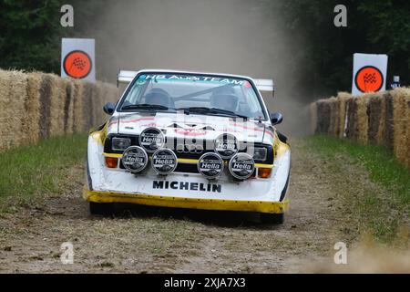 Peter van der Putten, Audi Sport Quattro S1 E2, Legends of Group B, eine Auswahl an legendären Fahrzeugen, die die ungeheuerlichen Extreme des Fahrzeugs demonstrieren Stockfoto