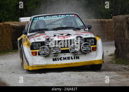 Peter van der Putten, Audi Sport Quattro S1 E2, Legends of Group B, eine Auswahl an legendären Fahrzeugen, die die ungeheuerlichen Extreme des Fahrzeugs demonstrieren Stockfoto