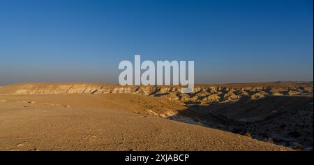 Panoramablick der Negev-Wüste am Havarim-Fluss (in der Nähe des Kibbutz Sde Boker), Israel Stockfoto