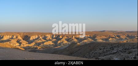 Panoramablick der Negev-Wüste am Havarim-Fluss (in der Nähe des Kibbutz Sde Boker), Israel Stockfoto