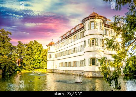 Schloss Bad Rappenau, Deutschland Stockfoto