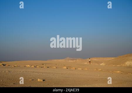 Panoramablick der Negev-Wüste am Havarim-Fluss (in der Nähe des Kibbutz Sde Boker), Israel Stockfoto