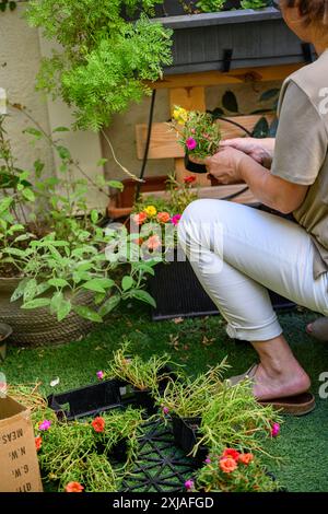 Frau pflegt ihr Gartenmodell, das im Juni in Jaffa, Israel, veröffentlicht wurde Stockfoto