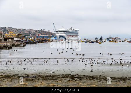 Coquimbo, Chile – 15. März 2019: Eine geschäftige Hafenszene mit einheimischen Tieren und Dockingschiffen. Stockfoto