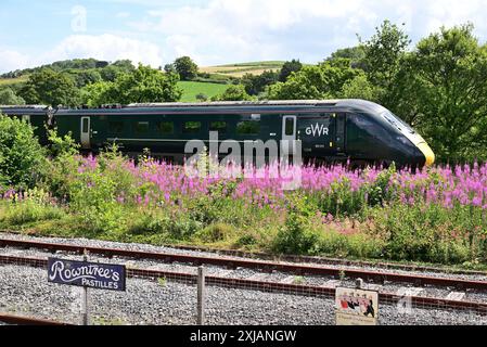 Intercity Express-Triebwagen Nr. 802013, der an einem Stück von Rosebay Willowherb an der Station Totnes Riverside an der South Devon Railway vorbeifährt. Stockfoto