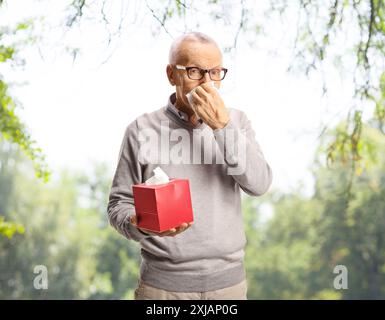 Ein älterer Mann, der die Nase bläst und draußen in einem Park eine Kiste Papiertücher hält Stockfoto