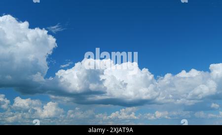 Zeitraffer. Wolken, die über den blauen Himmel laufen. Weiße, geschwollene und flauschige Wolken am blauen Himmel. Stockfoto