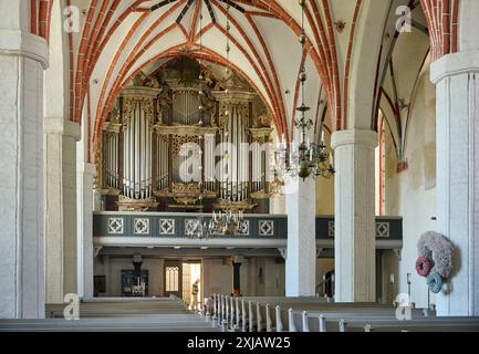 Innenaufnahme mit Orgel der Marienkirche Angermuende, Uckermark, Brandenburg, Deutschland, Europa Stockfoto