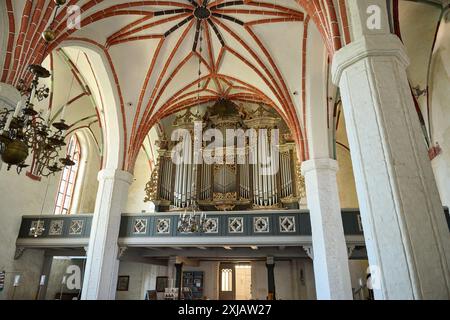 Innenaufnahme mit Orgel der Marienkirche Angermuende, Uckermark, Brandenburg, Deutschland, Europa Stockfoto