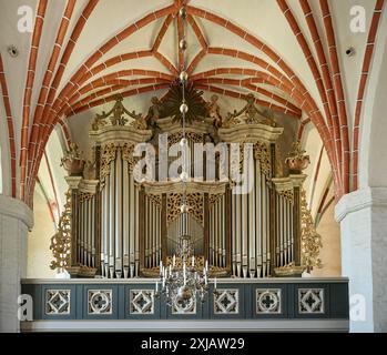 Innenaufnahme mit Orgel der Marienkirche Angermuende, Uckermark, Brandenburg, Deutschland, Europa Stockfoto