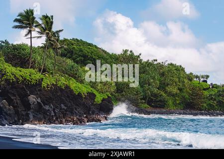 Ein malerischer Blick auf einen schwarzen Sandstrand in Hawaii mit üppigem Grün und Palmen, die auf den felsigen Klippen wachsen Stockfoto