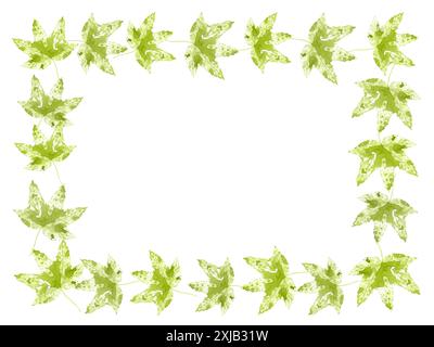 Aquarellgelb-grüne Ahornblätter. Blattabdrücke. Blätter mit Aquarellspritzern, Flecken. Herbstblumen-Illustration nationaler Symbole. Stockfoto