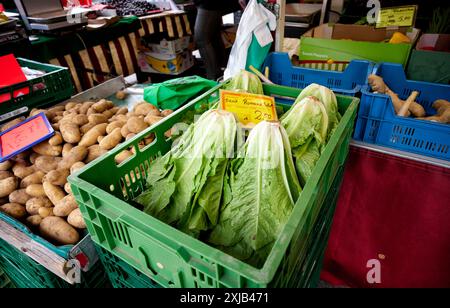 Obst- und Gemüsestand auf dem Rüttenscheider Markt in Essen. Veröffentlichungen nur für redaktionelle Zwecke. Foto: FotoPrensa Stockfoto