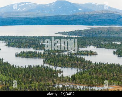 Ein Panoramablick auf das Naturschutzgebiet Rogen in Schweden, mit einer Reihe von gewundenen Seen, durchsetzt von dichten Wäldern. Die umliegende Landschaft ist Stockfoto