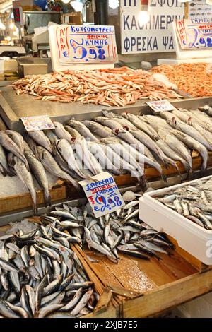 Athen, Griechenland - 05. Mai 2015: Vielfalt an frischen Fischen Central Market Hall in der Hauptstadt. Stockfoto