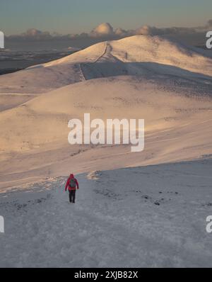 Person mit roter Jacke, Rucksack und Winterkleidung, Wandern auf dem schneebedeckten Bergrücken in den Pentland Hills, in der Nähe von Edinburgh, Schottland, in wi Stockfoto