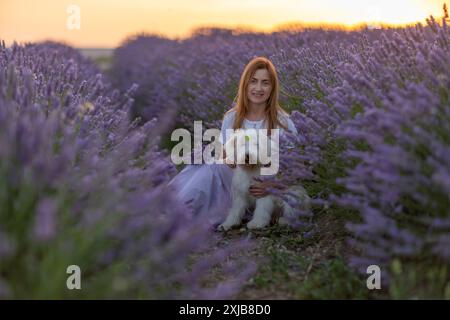 Eine Frau sitzt mit ihrem Hund auf einem Feld aus Lavendelblumen Stockfoto
