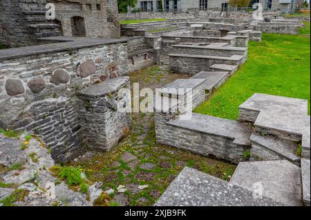 Details eines zerstörten Gebäudes. Alte Ruine des Klosters St. Brigitta in der Region Pirita, Tallinn, Estland. Stockfoto