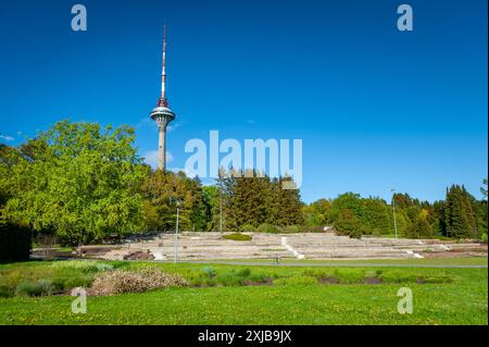 Blick auf die blühenden Bäume und den Fernsehturm vom botanischen Garten in Tallinn, Estland. Stockfoto