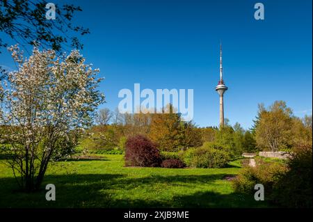 Blick auf die blühenden Bäume und den fernsehturm vom botanischen Garten in Tallinn, Estland. Stockfoto