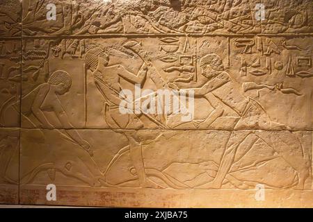 Kalksteinrelief aus einem Grab, in dem Rinderschlachtszenen dargestellt sind. Dynastie 5. Altes Königreich. Ägyptisches Museum. Berlin, Deutschland. Stockfoto