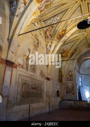 Allgemeine Ansicht der Fresken von Romanino in der Kirche Santa Maria della Neve, Pisogne Stockfoto